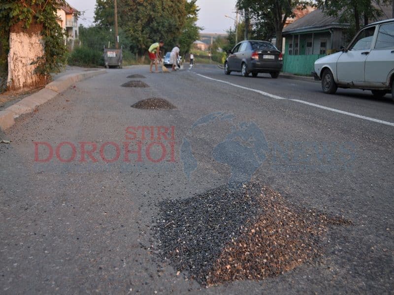 Seminte pe strada Stefan cel Mare din Dorohoi05