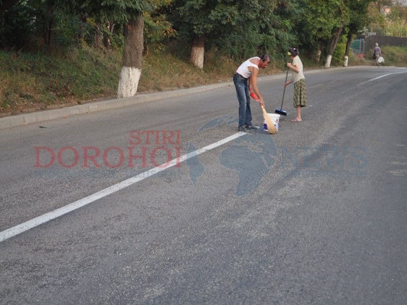 Seminte pe strada Stefan cel Mare din Dorohoi06