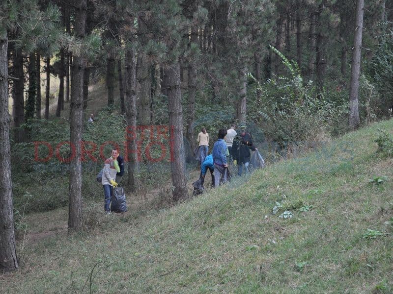 Scoala Ion Pilat03