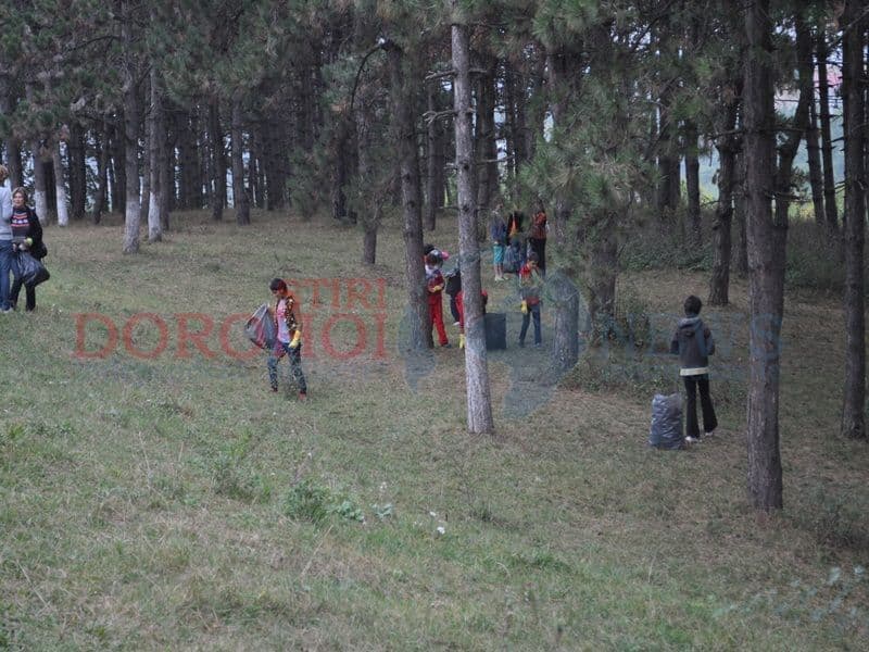 Scoala Ion Pilat09
