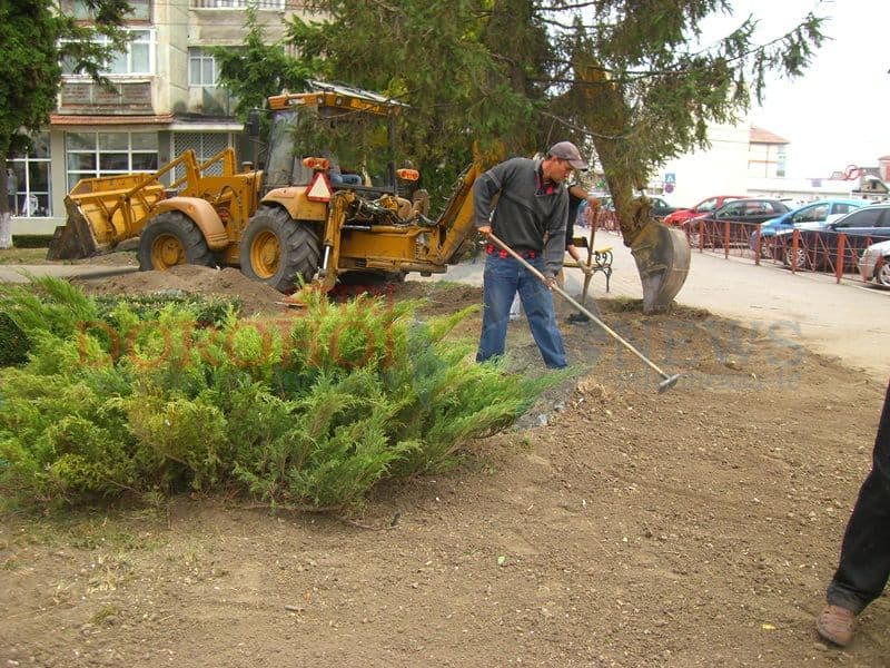 Reabilitare parc Dorohoi (3)