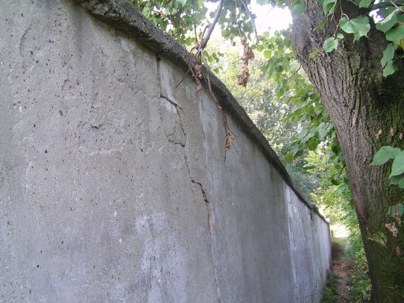 Sectia de psihiatrie (6)