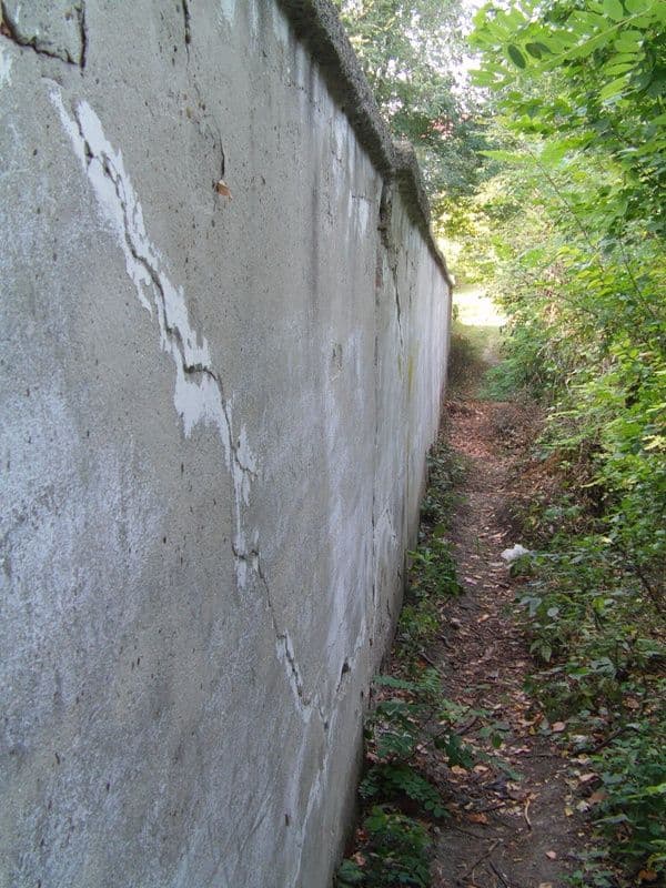Sectia de psihiatrie (7)
