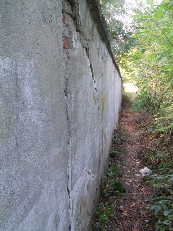Sectia de psihiatrie (8)