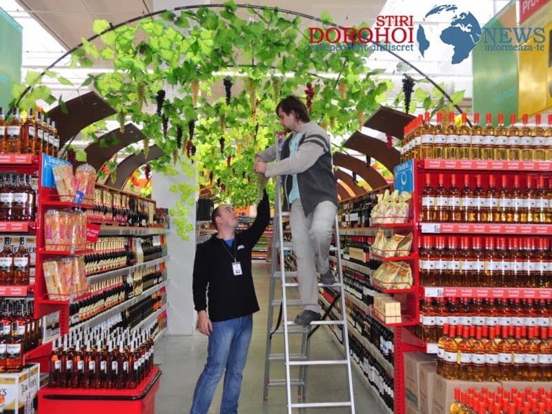 botosani-shopping-center-carrefour_037