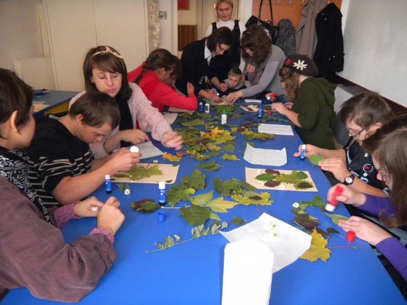 activitate (4)