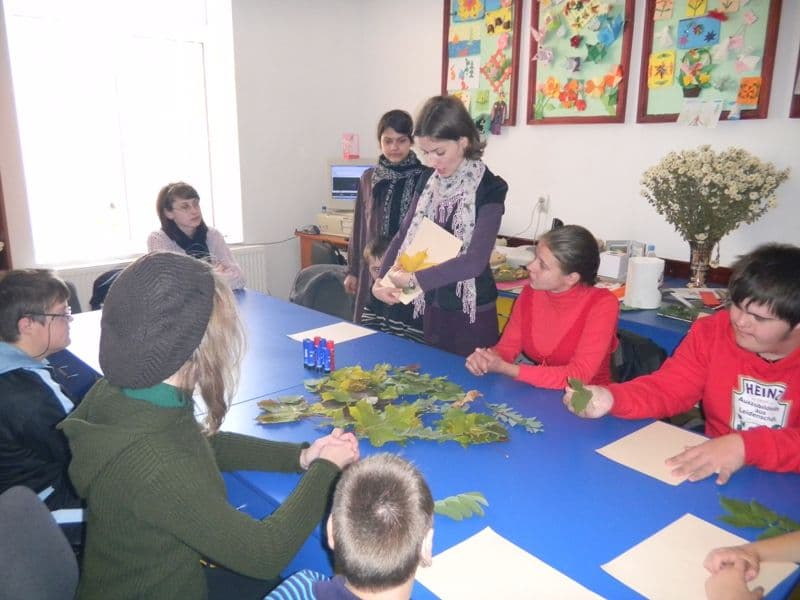 activitate (5)
