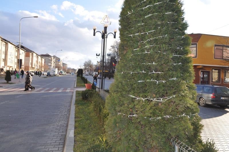 ornamente stradale (5)