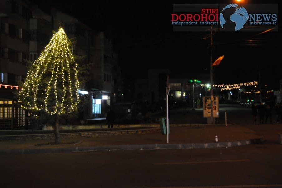 Dorohoiul de sarbatori_06