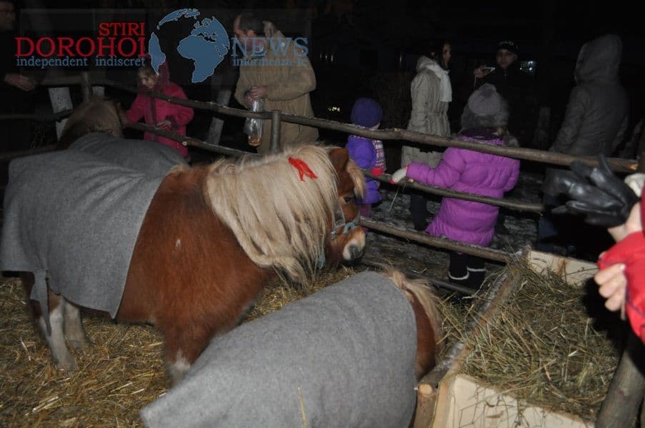 Deschidere Oraselul Copiilor_Dorohoi_009