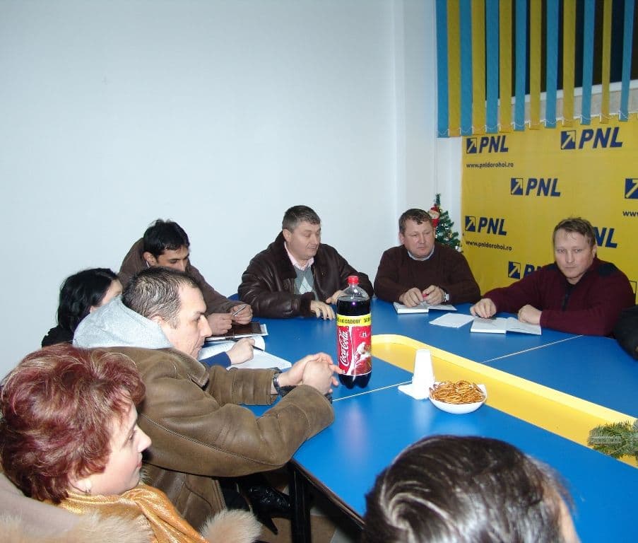 Alegeri birou PNL Dorohoi (2)
