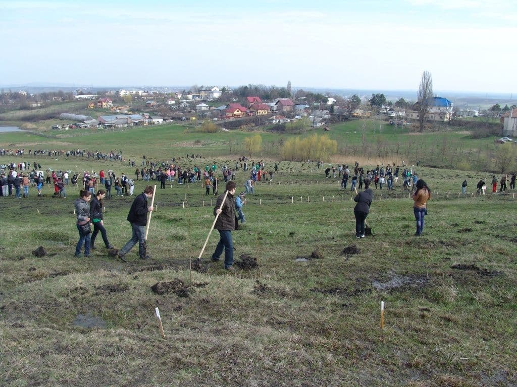 Dorohoi Romania Prinde Radacini (8)