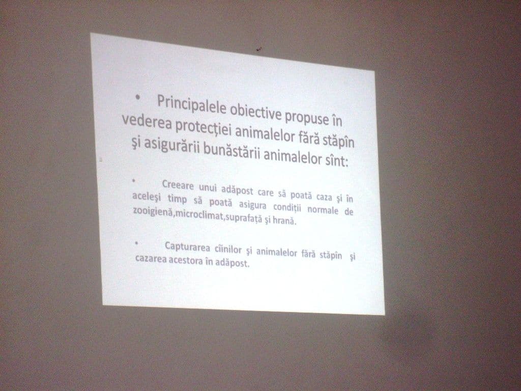 Prima şedinţă a asociaţiei pentru protecţia animalelor (5)