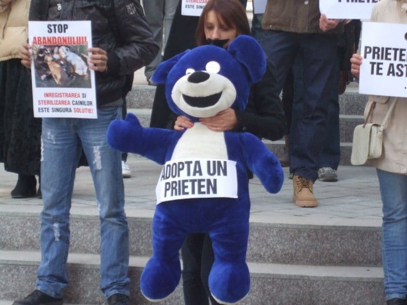 Ador Botosani_Nu mai vreau caini in strada - DA Sterilizarii NU Uciderii (2)