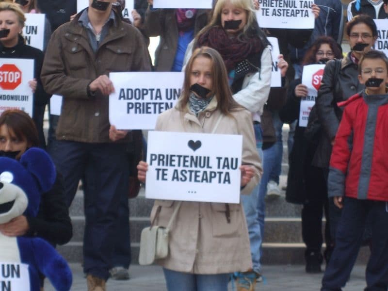 Ador Botosani_Nu mai vreau caini in strada - DA Sterilizarii NU Uciderii (3)