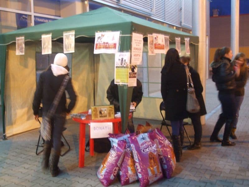 ADOR - Donatii (4)