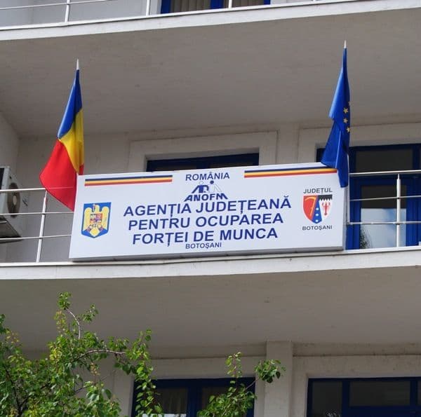 Situația statistică a persoanelor aflate în căutarea unui loc de muncă înregistrate în evidențele AJOFM la 31.12.2011