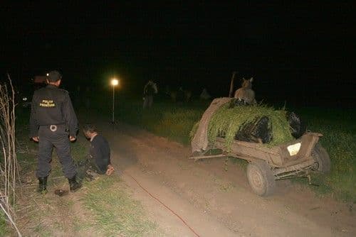 Doi bărbaţi din Pomârla trimiși la închisoare pentru contrabandă cu ţigări cu căruţa