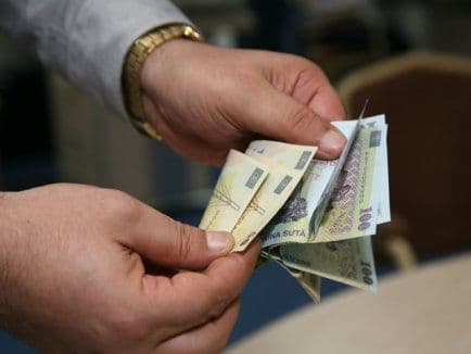 În județul Botoșani se câștigă mai mult decât se produce