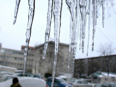 Important! Primăria Dorohoi informează cetăţenii