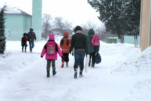 IŞJ Botoşani cere unităţilor de învăţământ să-şi reia cursurile