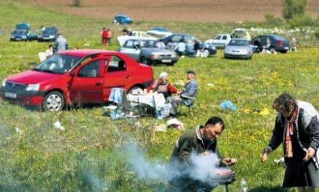 Fără mici şi bere la pădure! Legea picnicului, adoptată de Camera Deputaţilor
