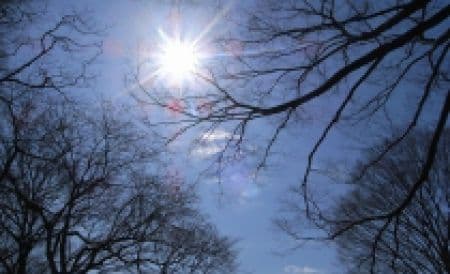 Află cum va fi vremea primăvara aceasta. Ce spun meteorologii