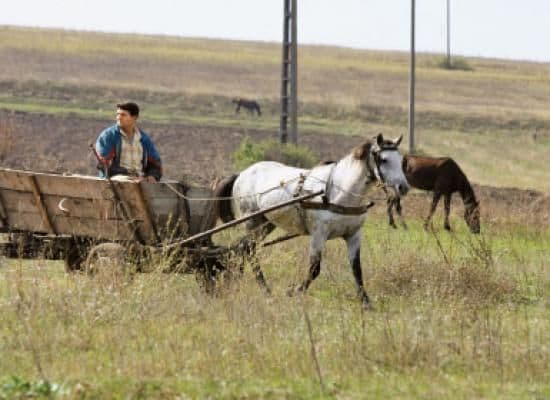 Taxa pentru pământul nelucrat va fi prezentă din această primăvară