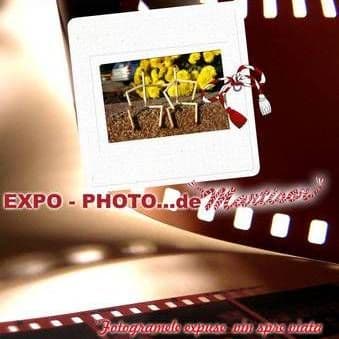 „Expoziție” în Festival la Dorohoi