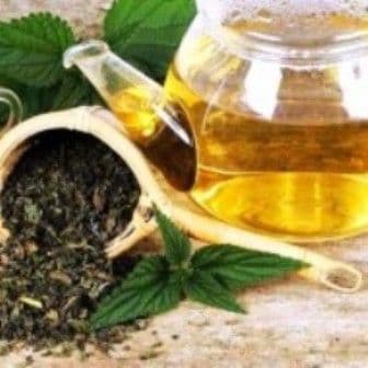 Plante care combat astenia de primăvară