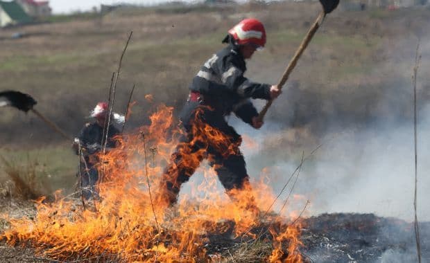 Câmpuri aprinse din neglijenţă