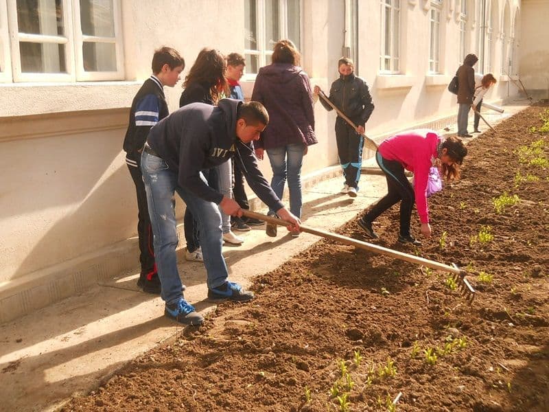 „Şcoala altfel” la Grupul Şcolar „Al. Vlahuţă” Şendriceni