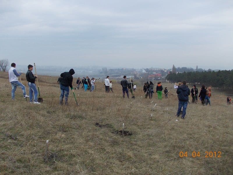 Parteneriat „Eco” între Primăria Dorohoi și Grup Școlar „Regina Maria”