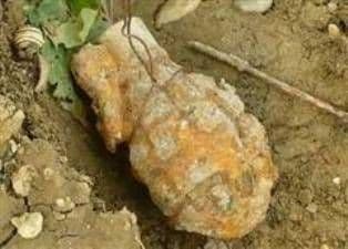 Grenadă găsită într-o grădină din Unţeni