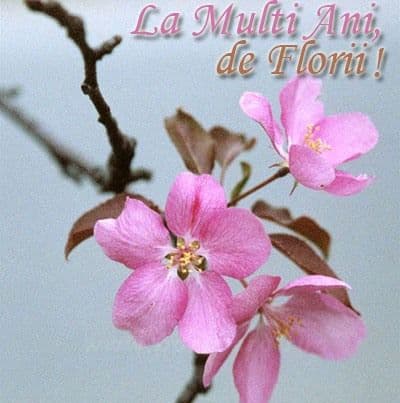 La Mulți Ani de Florii!