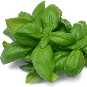 10 beneficii ale busuiocului de Paşti