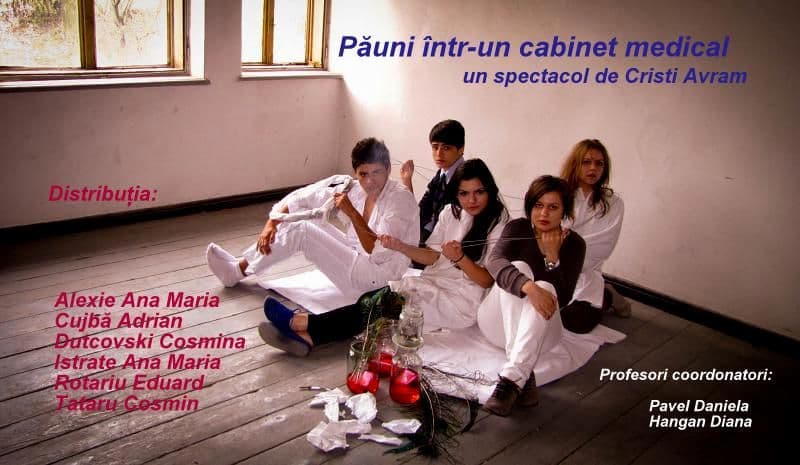 Colegiul Naţional „Grigore Ghica” Dorohoi participă la „AmFiTeatru”