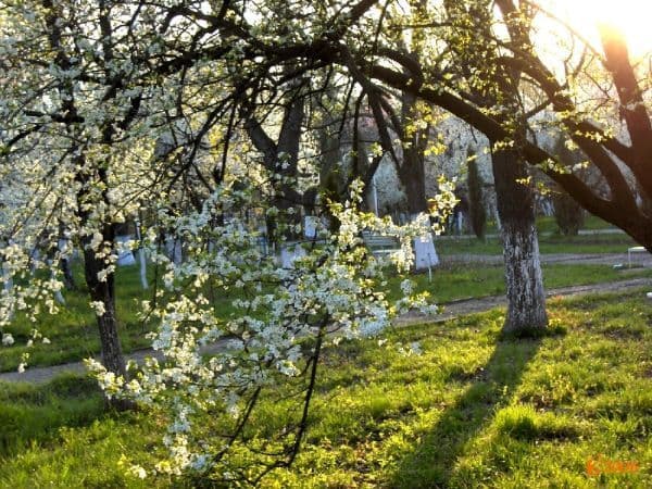 După 4 mai vin ploile. Vezi prognoza meteo până pe 10 mai