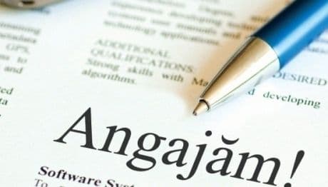 AJOFM: Se caută arhivar, șofer autobuz și ucenici