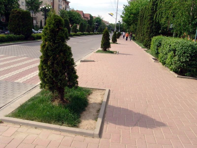 La Dorohoi, spațiile verzi „ne cheamă” la protecție