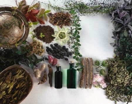 Leacuri din plante pentru cele mai frecvente probleme de sănătate