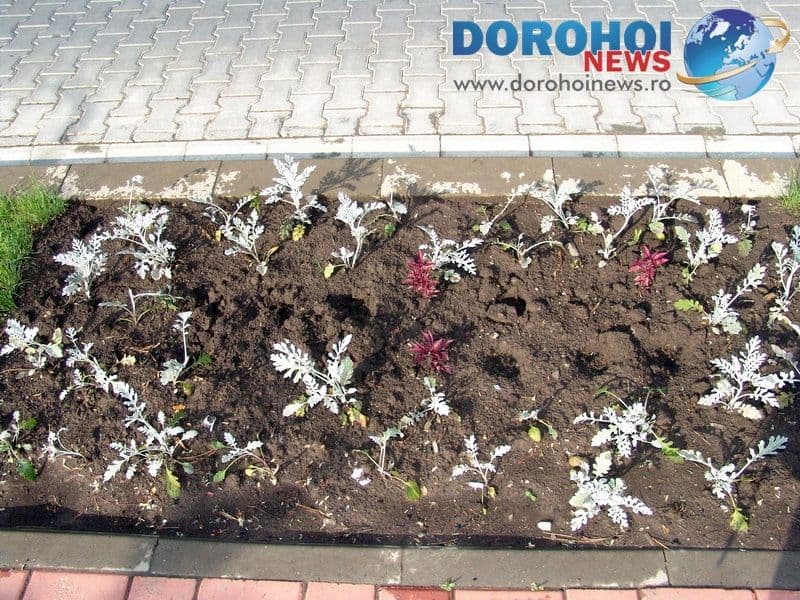 Spiritul civic lasă de dorit: „Dispariţii misterioase” partea a II-a