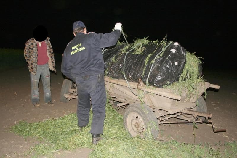 Mii de ţigări de contrabandă transportate cu căruţa