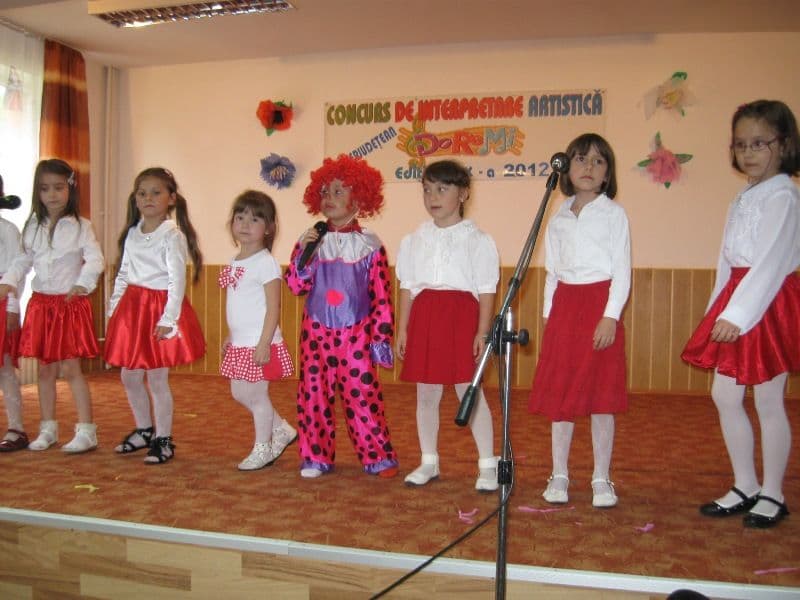Dorohoi: Un concurs numit „D0-RE-MI”
