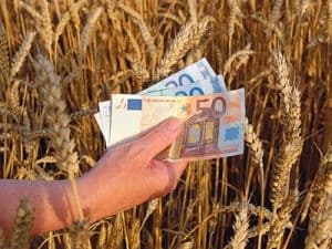 Agricultorii pot primi despăgubiri dacă au suferit pagube din cauza vremii