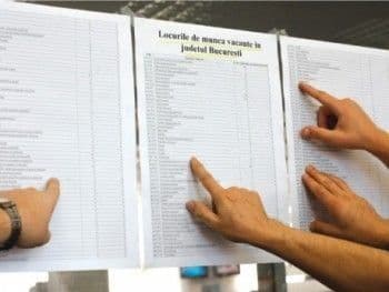 AJOFM: Locuri noi de muncă pentru șomerii botoșăneni