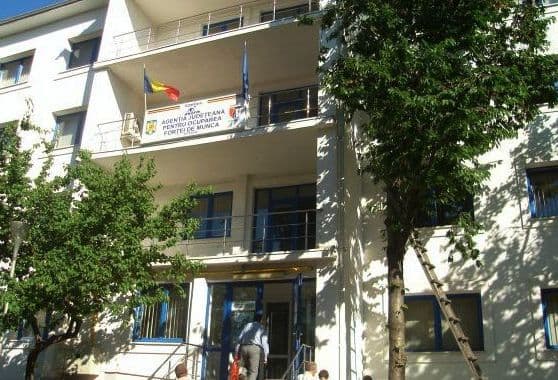 AJOFM: Locuri noi de muncă pentru ospătari, bucătari şi îngrijitori clădiri