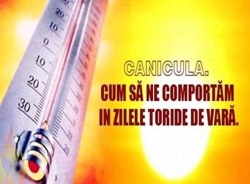 Sfaturi de la pompieri pentru zilele caniculare