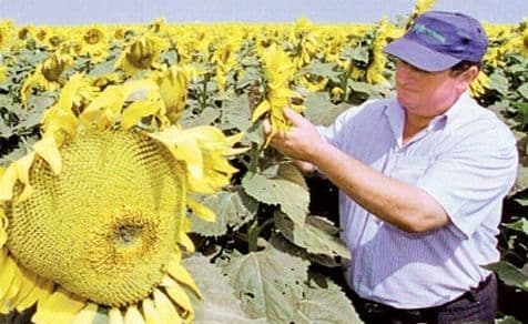 Ţăranii ar putea scoate România din criză. Câte persoane lucrează în mediul rural fără să plătească taxe