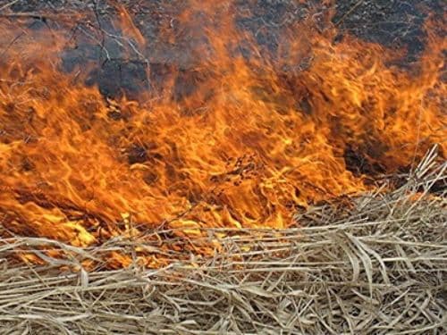 CANICULĂ: Este interzisă arderea miriştilor şi a resturilor vegetale!